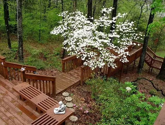 a wooden multi-level deck connected by stairways and surrounded by tall green trees