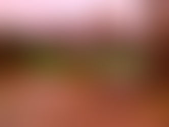 [News] La Série "Twin Peaks" Dispo en Streaming !