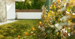 Apartamenty Kukiełki5