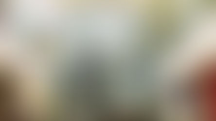 Mall Refurbishment at Weston Favell, for Redefine International