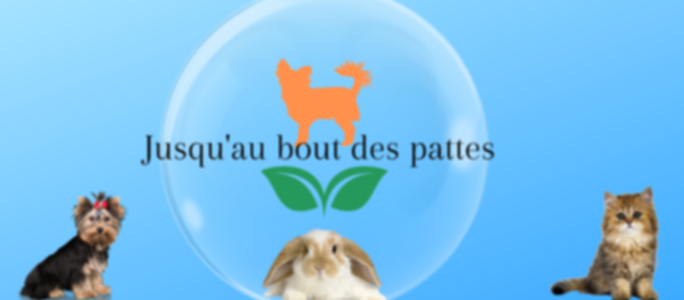 toilettage-pour-chiens-chats-nacs.png