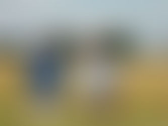 Meet The Speaker: Laudies Brantley 