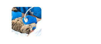 Diseño sin título (34)_edited.png