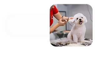 Diseño sin título (12)_edited.png