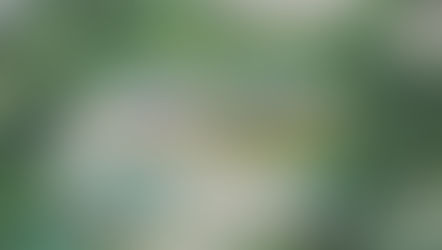 吉根グランド復旧状況※メイングランド練習再開！