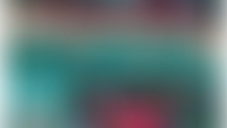 第19回ミズノ旗争奪大会兼第54回春季全国大会支部予選