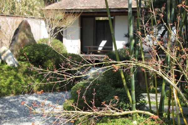 Japanese Garden Foundation New Orleans