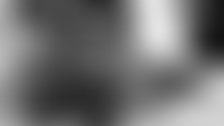 Conditions médicales du Nebelung