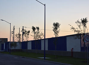 Paisajismo