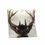 Miniature : Coussin Tête de CERF biface 45x45