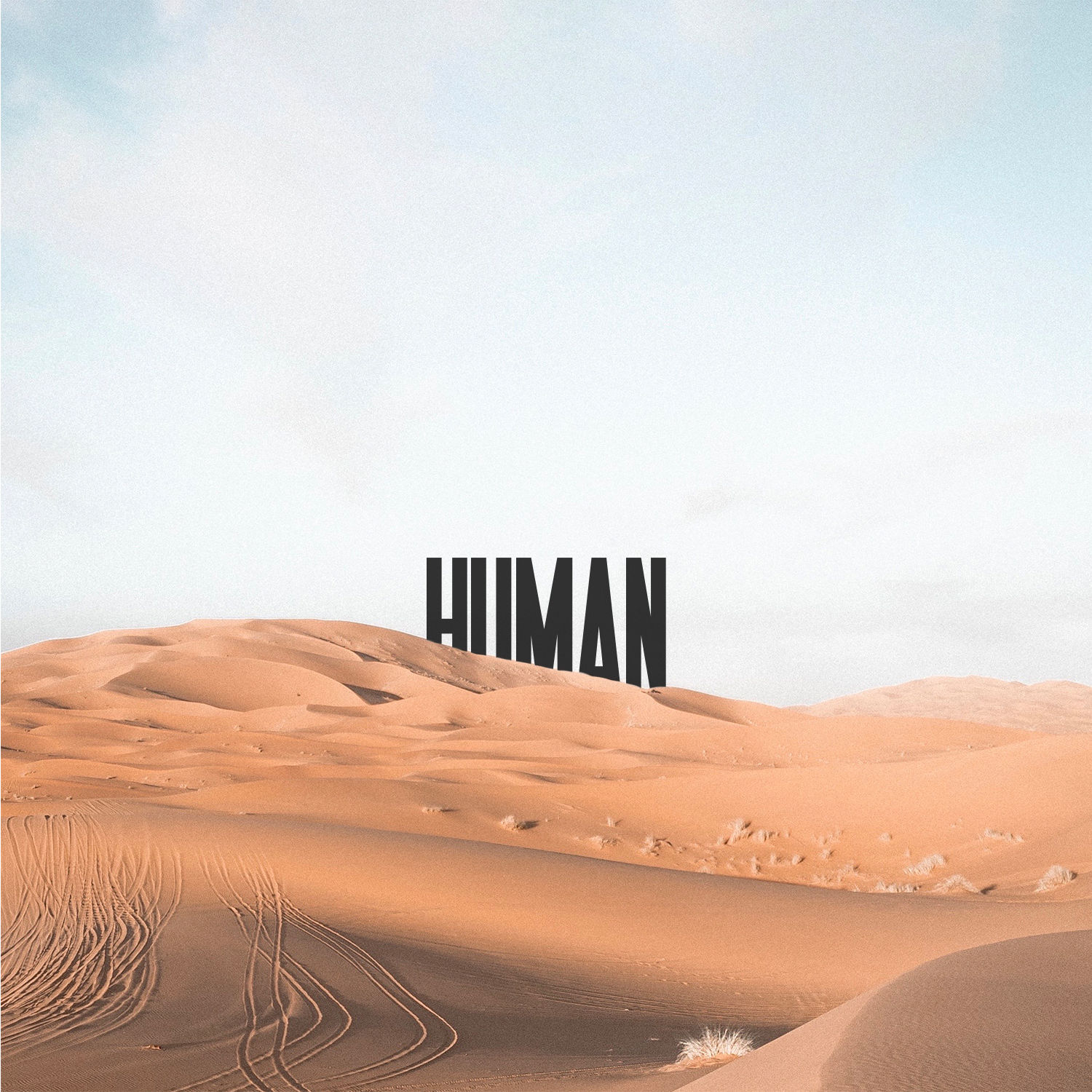 'Human' MP3/M4A/WAV Standard Digital Download