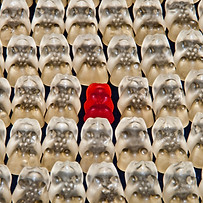 gummibarchen-fruit-gums-bear-sweetness-5