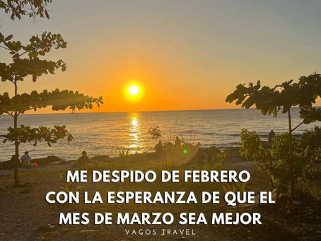 Prueba co actualización en web