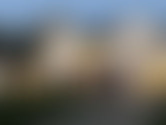 Deck the Halls with Professional Calgary Holiday Light Installation