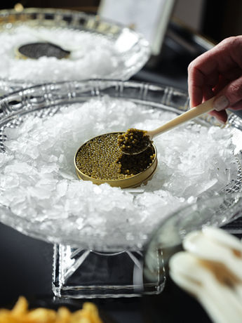 caviar co collins st_simonshiff_0 26.JPG