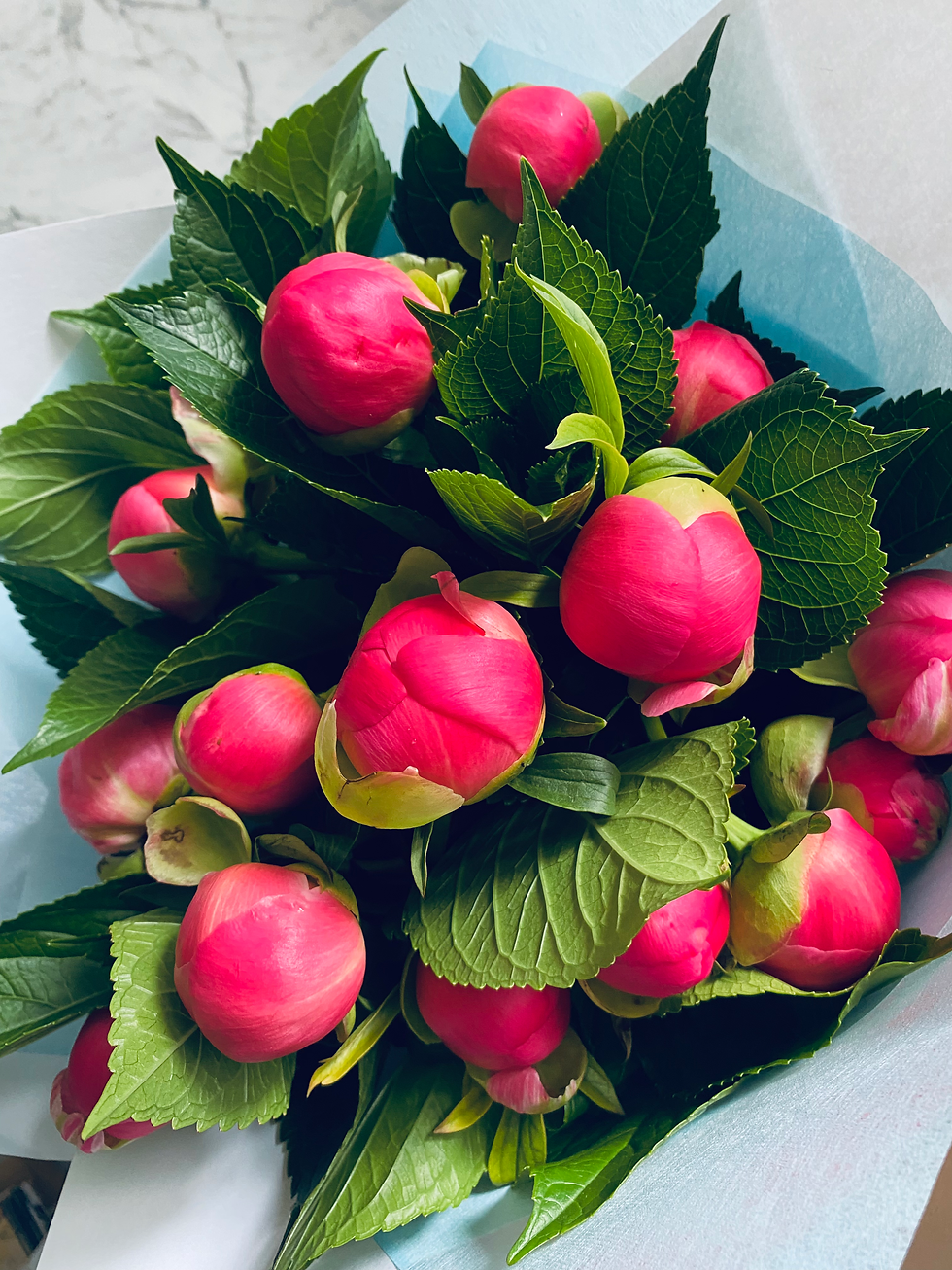 תמונה ממוזערת: One of a Kind 