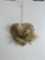 Dried Flower Heart Wall Hanging