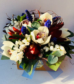 Container flowers gallery with white orchids and blue muscari