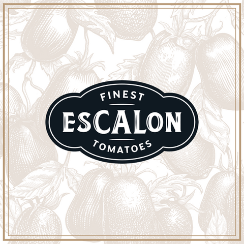 Escalon Rebrand + Sweeps Launch