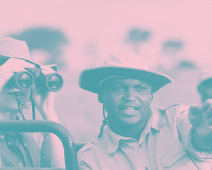 Safari Tour_edited.jpg