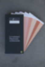 Thumbnail: Le Corbusier’s Colour Fan