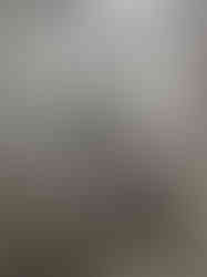 해바라기수전