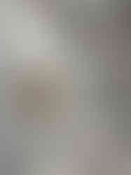 중앙오픈장