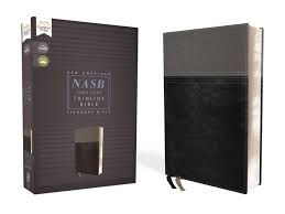 NASB THINLINE BIBLE BLACK/GREY