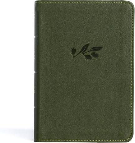 NASB LARGE PRINT COMPACT REFERENCE BIBLE OLIVE