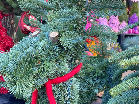 Finding Comfort in Your New or Not-So-New City During the Holidays