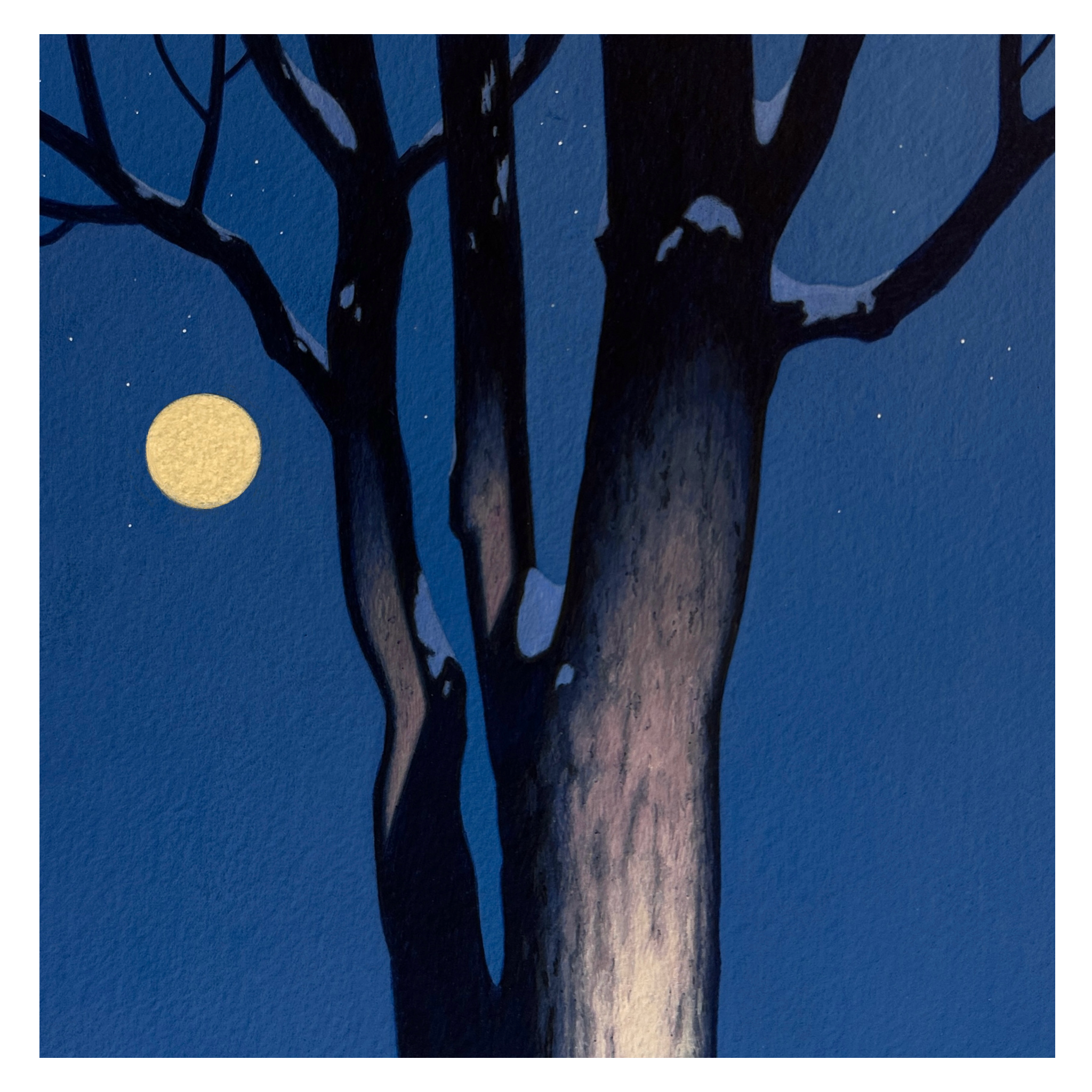 Dresden Tree 22 - ORIGINAL - UNFRAMED 