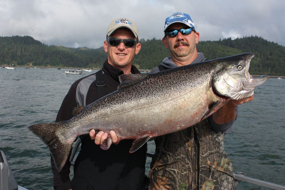 fall chinook (8)