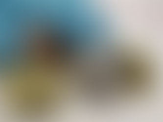 How to become a Champion in 10 000 hours.