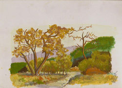 "Paisagem Aleatória"