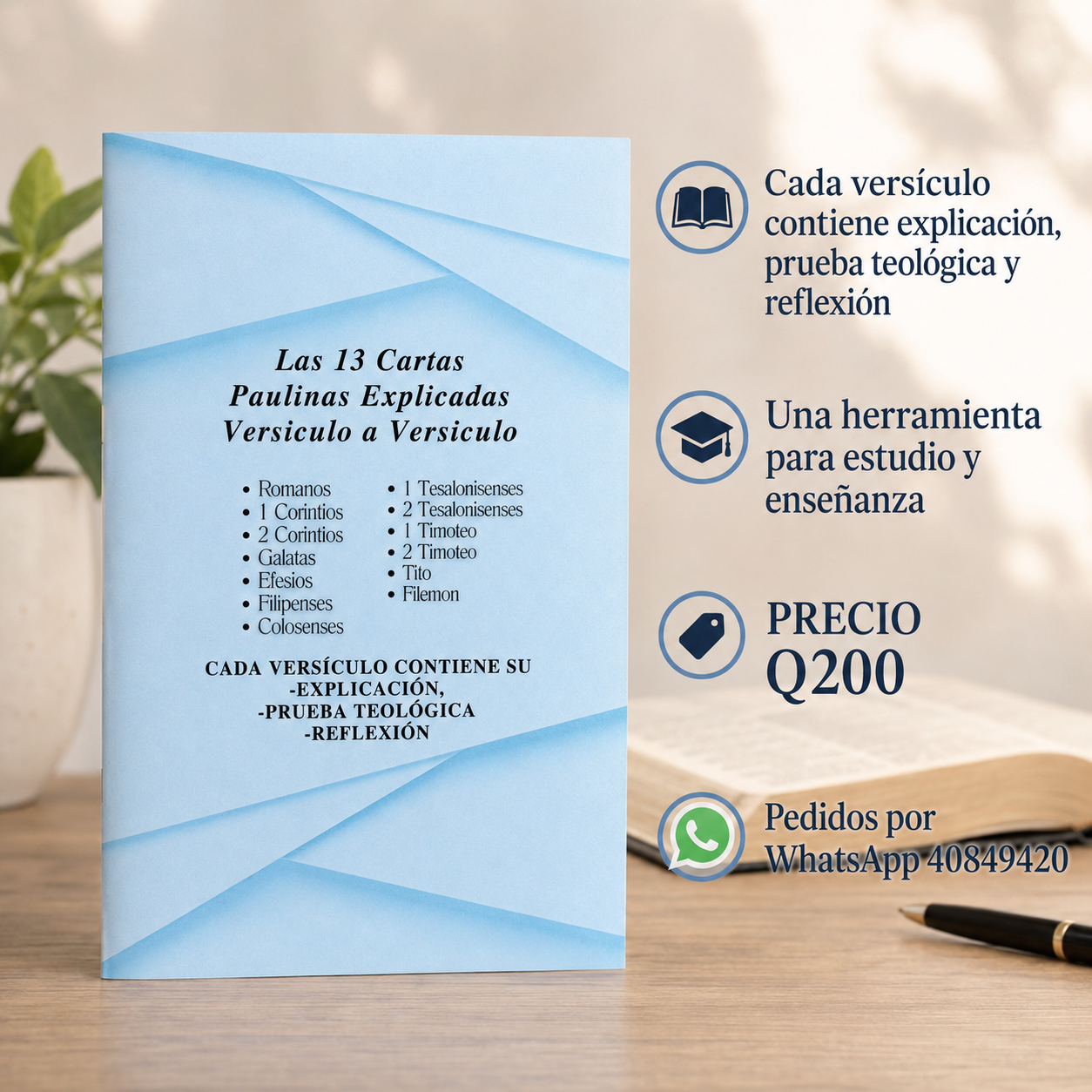 Las 13 Cartas Paulinas Explicadas Versículo a Versículo