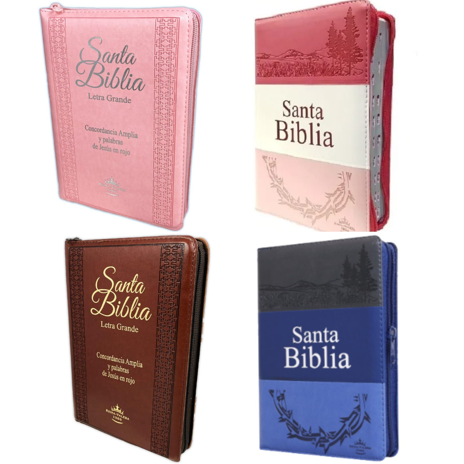 BIBLIAS PARA DAMA Y CABALLERO LETRA GRANDE REINA VALERA 1960