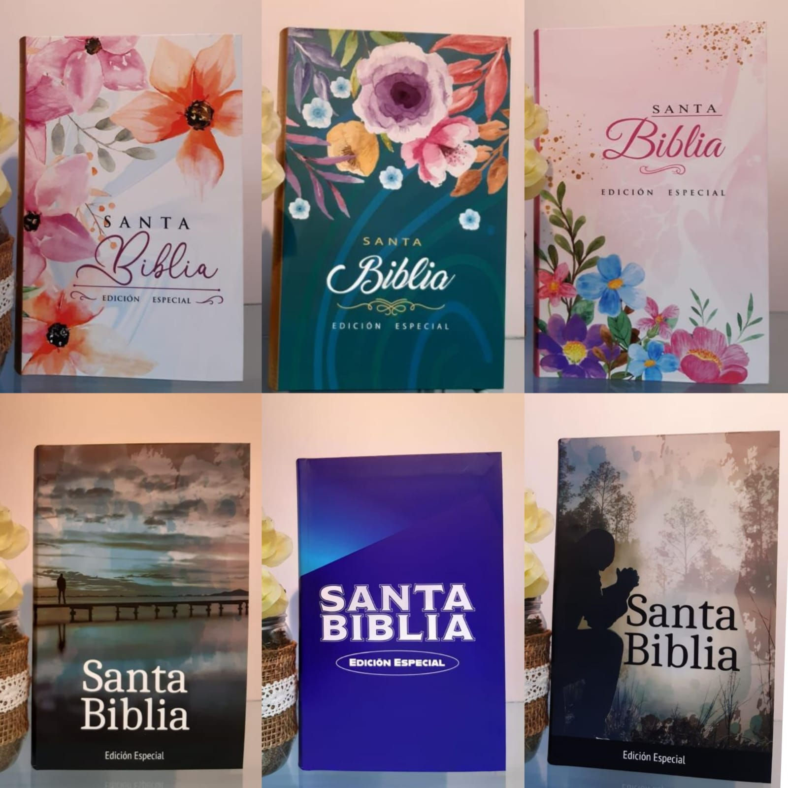 Biblias Reina Valera 1960 flex