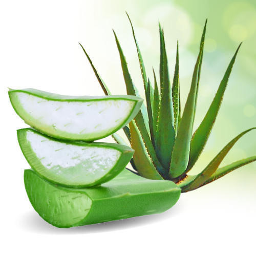 Aloe Vera has a natural fragrance