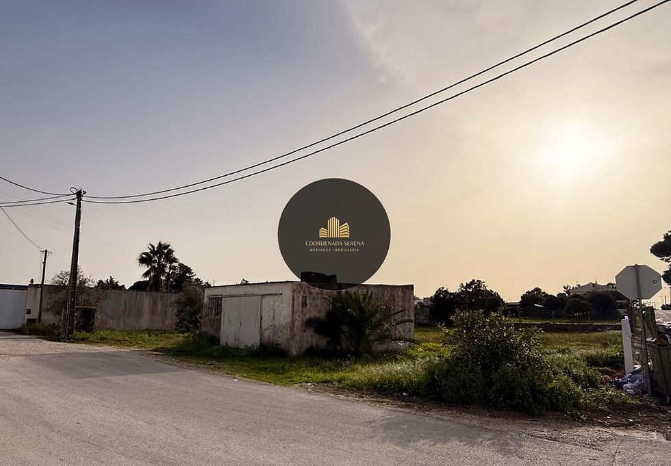 WhatsApp Image 2026-03-07 at 14.21.11.jpeg