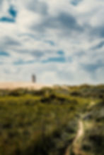 Sand dunes Nordjylland Denmark