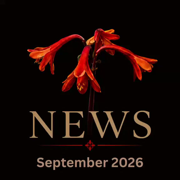 September News.mp4
