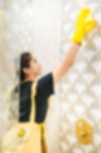 Sunshine Cleaning & Painting