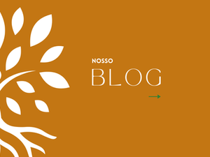 Capa Blog Colégio Raiz do Saber Cotia