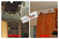 water damage (31)