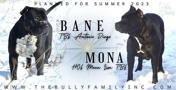 '23 Bane x Mona.png