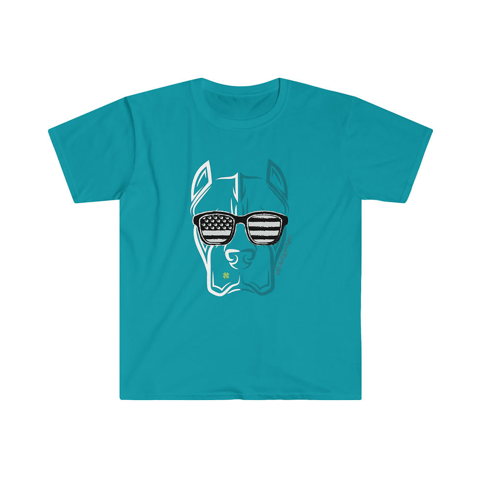 Thumbnail: Stars n Stripes Unisex Softstyle T-Shirt