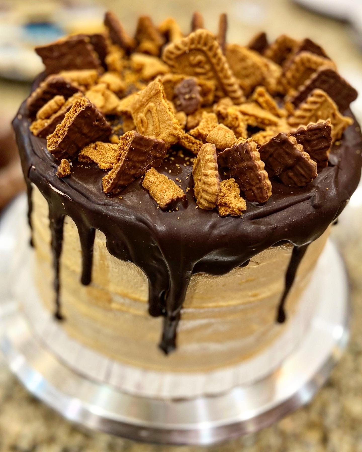 Biscoff Brownie Cake