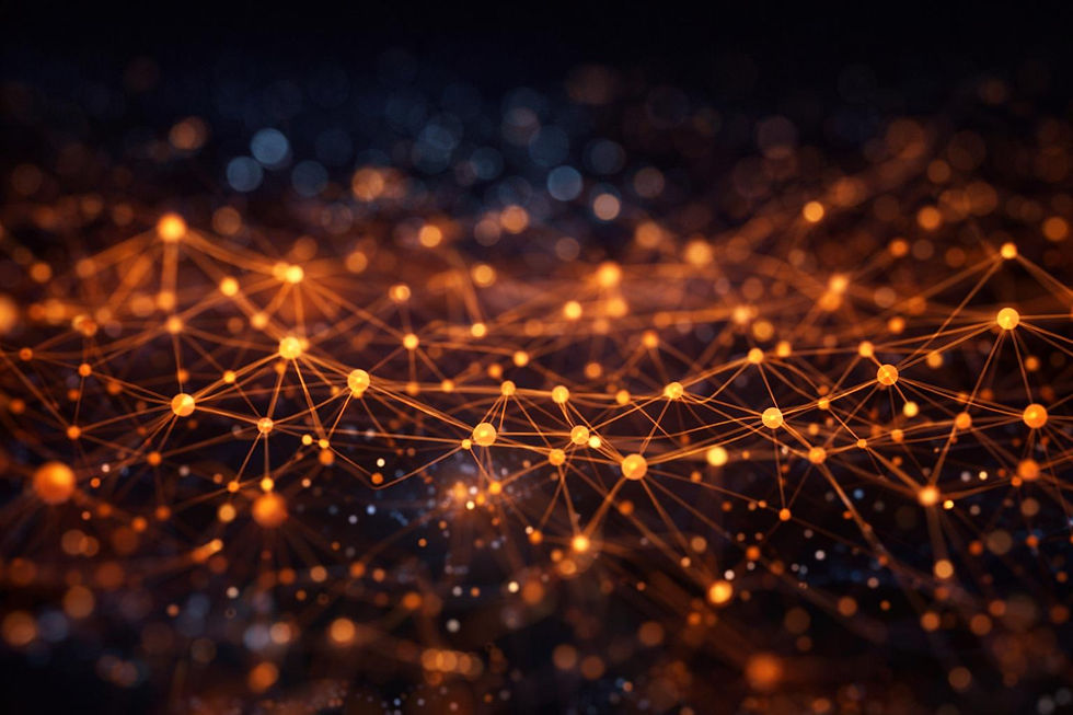 WhatsApp Image 2026-02-22 at 8.30.07 AM.jpeg