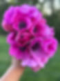 IMG_1114.jpeg