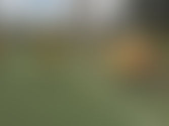 AH2 vs BV Altenessen 1:8